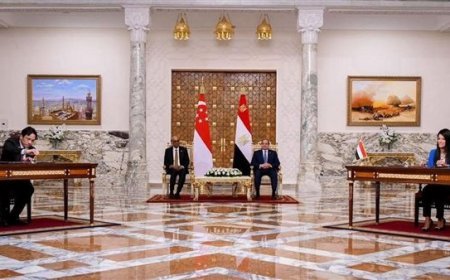 وزيرة التخطيط: مصر حريصة على تقوية العلاقات التجارية والاستثمارية والاقتصادية مع دولة سنغافورة