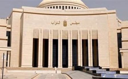 حقوق الإنسان بالنواب": قانون الإجراءات الجنائية يعد بمثابة الدستور الثاني لمصر