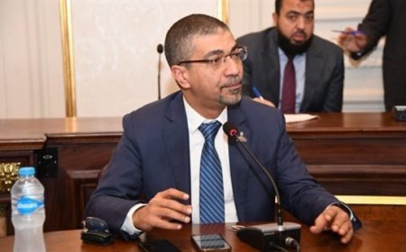 النائب محمد البدري: نرفض التهجير القسري للفلسطينيين وتصفية القضية