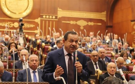 عبد السلام الجبلي: زيادة تمويل مشروع البتلو خطوة هامة نحو تحقيق الأمن الغذائي