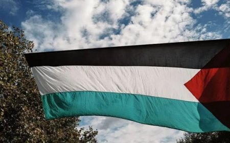 العدل الفلسطيني: اعتراف دولي متزايد بفلسطين.. والعالم يطالب بوقف الحرب والإبادة
