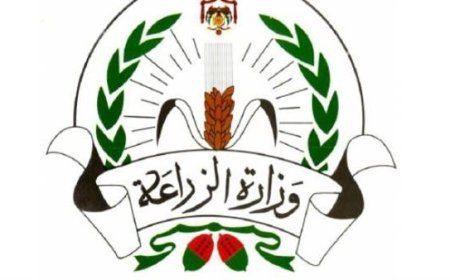 الزراعة العضوية في مصر.. جهود مكثفة لتعزيز الاستدامة وتسجيل المبيدات والأسمدة العضوية