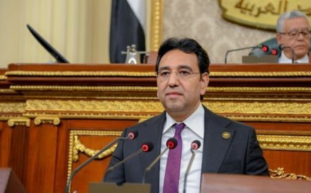 وكيل «عربية النواب»يدعو المجتمع الدولي لتحويل الاعتراف بدولة فلسطين إلى واقع ملموس