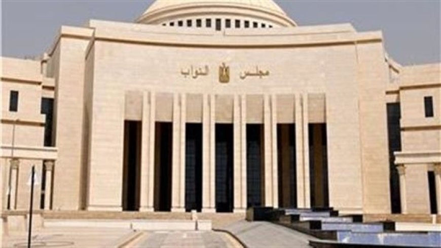 حقوق الإنسان بالنواب": قانون الإجراءات الجنائية يعد بمثابة الدستور الثاني لمصر