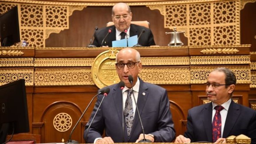 برلماني: إطلاق منظومة التقاضي عن بعد يضع مصر في مصاف الدول المتقدمة تكنولوجيا