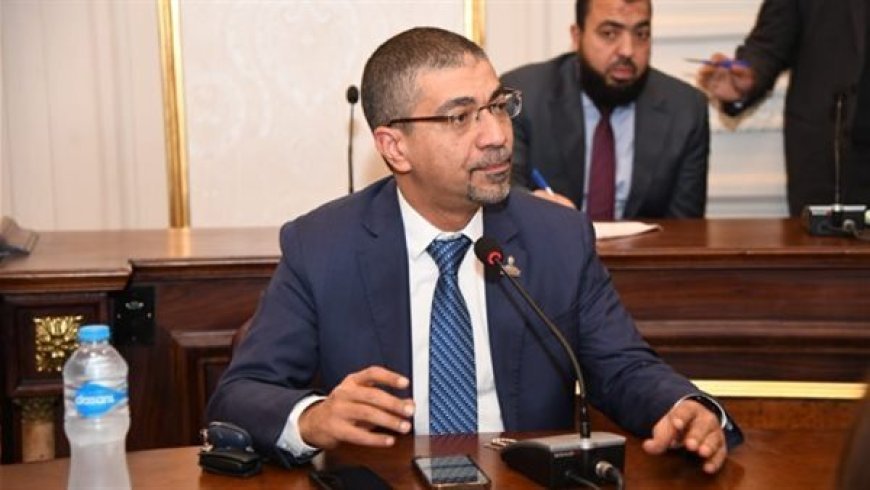 النائب محمد البدري: نرفض التهجير القسري للفلسطينيين وتصفية القضية