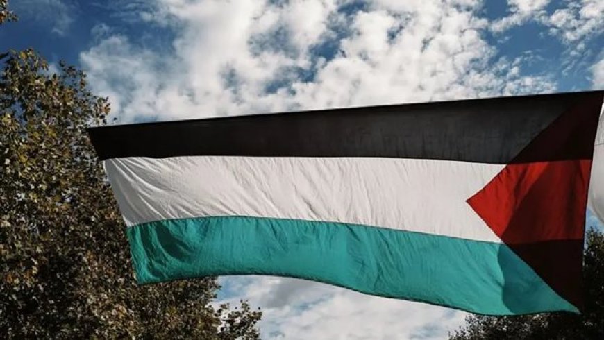 العدل الفلسطيني: اعتراف دولي متزايد بفلسطين.. والعالم يطالب بوقف الحرب والإبادة